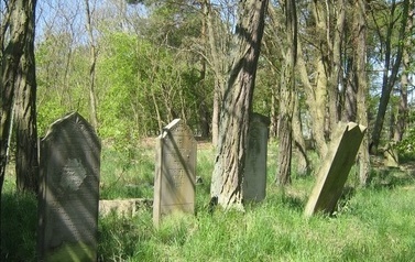 Stary cmentarz żydowski w Świdwowcu z dobrze zachowanymi płytami nagrobnymi, najstarszy nagrobek jest z 1776 roku 