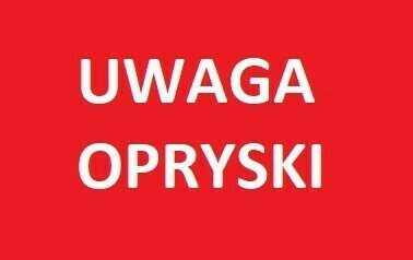 Zdjęcie do UWAGA - Opryski chwastob&oacute;jcze