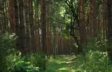 Zdjęcie artykułu z dnia 18-07-2025